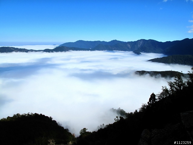 超壯麗的觀霧雲海---寒流受凍的代價是值得的