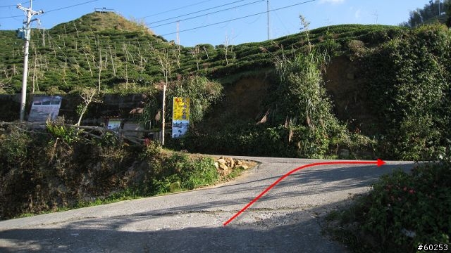南投縣 鹿谷小半天→山豬湖產業道路→大崙山→羊彎→溪頭→鹿谷小半天