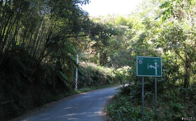 南投縣 鹿谷小半天→山豬湖產業道路→大崙山→羊彎→溪頭→鹿谷小半天