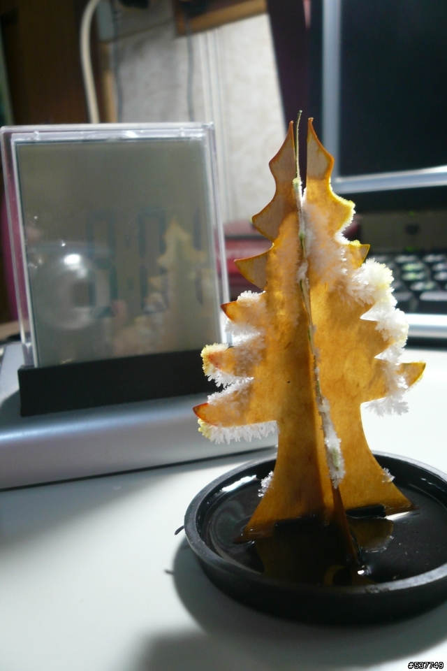 [分享]重溫兒時回憶～～會開花的紙樹