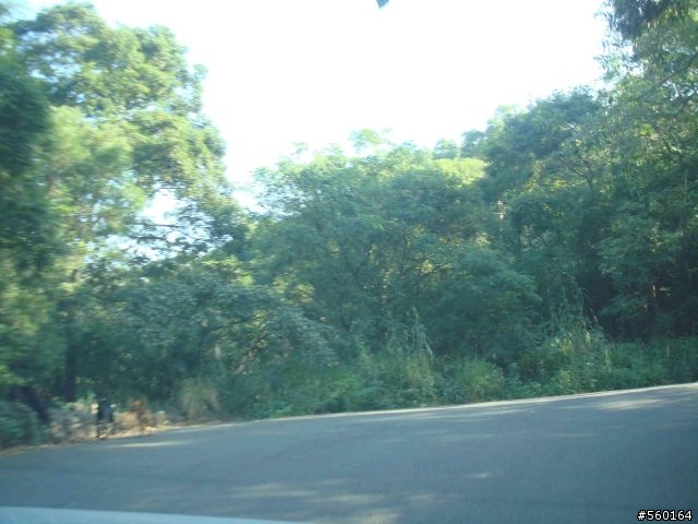 逍遙遊的1.) 挑戰路線探勘(照片多)--(第八屆)『2008八卦山脈 美利達盃&單車嘉年華』
