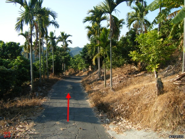 霧峰鄉山林縱騎-桐林-南坑-峰谷-九九峰-象鼻坑
