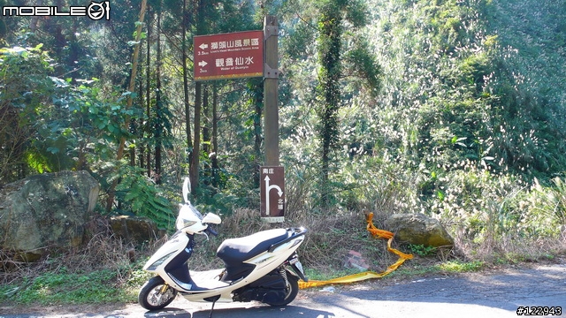[12.29更新]小跑新竹五指山接南庄-約跑?月?號