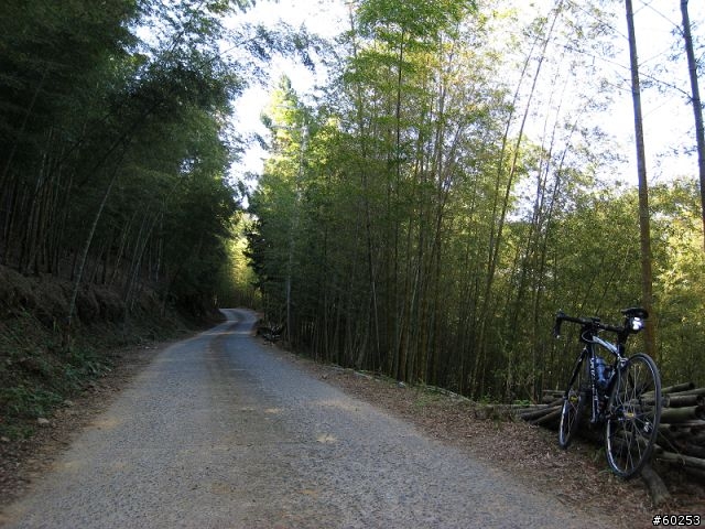 南投縣 鹿谷小半天→山豬湖產業道路→大崙山→羊彎→溪頭→鹿谷小半天