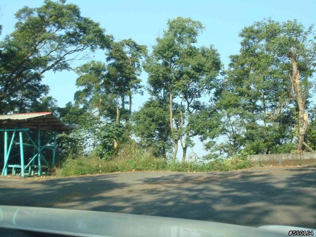 逍遙遊的1.) 挑戰路線探勘(照片多)--(第八屆)『2008八卦山脈 美利達盃&單車嘉年華』