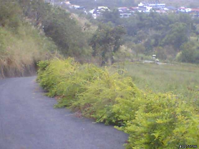 【約騎】2/21(星期六) 草屯茄荖山牛屎崎環保生態園區