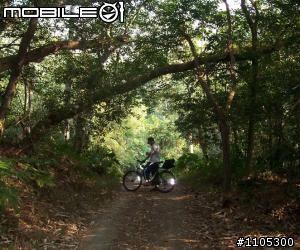 (分享)關子嶺南寮福安宮新路線