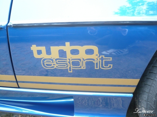 藍色古典老車~Lotus Turbo Esprit S3