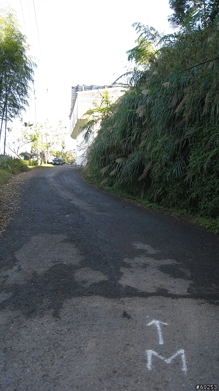 南投縣 鹿谷小半天→山豬湖產業道路→大崙山→羊彎→溪頭→鹿谷小半天