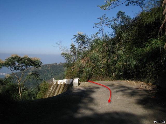 南投縣 鹿谷小半天→山豬湖產業道路→大崙山→羊彎→溪頭→鹿谷小半天