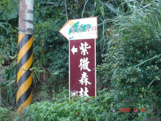 11/30 紫薇森林之旅 與小余 小高 阿財 還有各位愛車之人共同分享