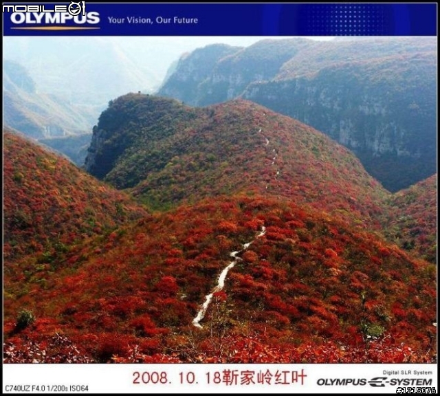 大家好，我是新来的！