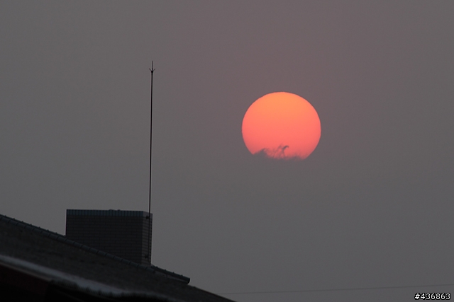 千年傳統．全新感受 ── 重新發現小小黑 EF 70-300mm F4-5.6 IS USM
