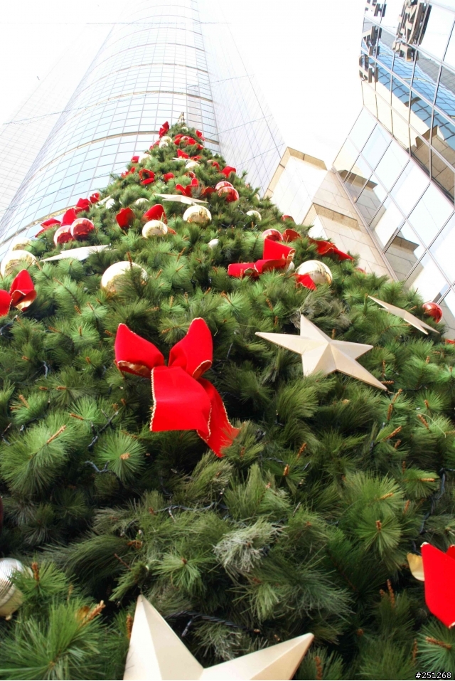 祝大家聖誕節快樂~~送上台北市的聖誕樹