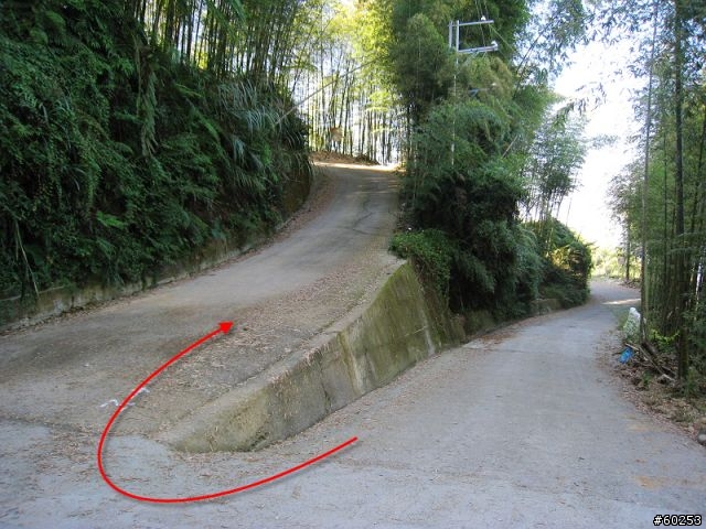 南投縣 鹿谷小半天→山豬湖產業道路→大崙山→羊彎→溪頭→鹿谷小半天