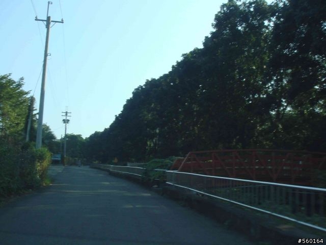 逍遙遊的1.) 挑戰路線探勘(照片多)--(第八屆)『2008八卦山脈 美利達盃&單車嘉年華』