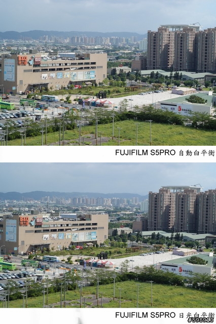同父異母的差異血統Fujifilm S5Pro VS Nikon D80
