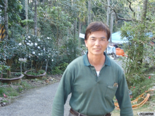 [約騎]1月2日賞山茶花之旅.確定取消.造成不便請見諒.