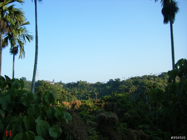霧峰鄉山林縱騎-桐林-南坑-峰谷-九九峰-象鼻坑