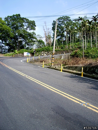 嘰嘰叫! = 單速淑女車  上古坑喝咖啡 = (圖多)