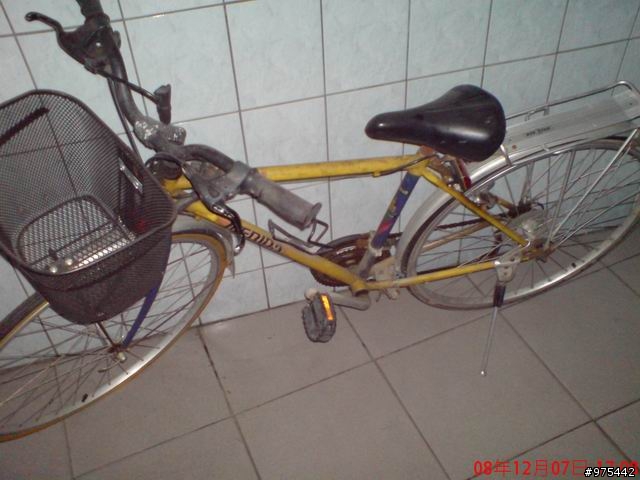 真正的淑女車來了