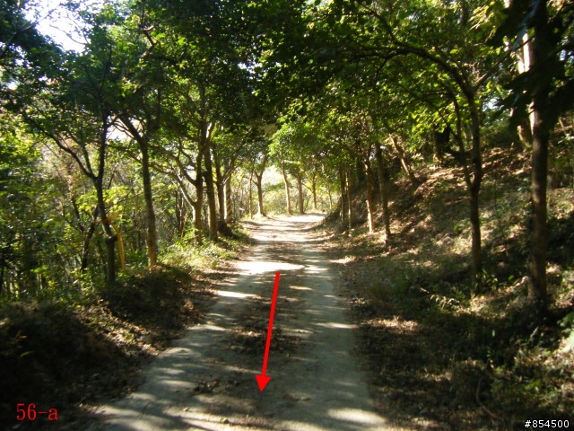 霧峰鄉山林縱騎-桐林-南坑-峰谷-九九峰-象鼻坑