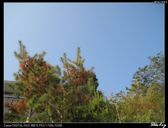 【試拍】IXUS 980 IS