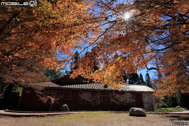 無敵兔第三篇 風景與棚拍人像
