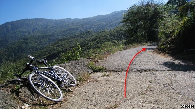 南投縣 鹿谷小半天→山豬湖產業道路→大崙山→羊彎→溪頭→鹿谷小半天
