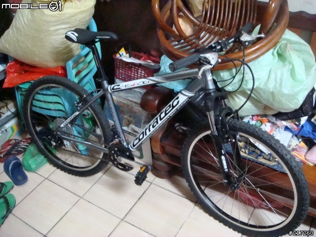 我的入門車Corratec X-Vert Baco