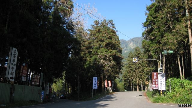 南投縣 鹿谷小半天→山豬湖產業道路→大崙山→羊彎→溪頭→鹿谷小半天