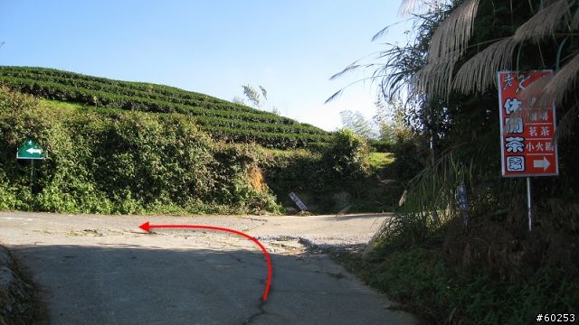 南投縣 鹿谷小半天→山豬湖產業道路→大崙山→羊彎→溪頭→鹿谷小半天