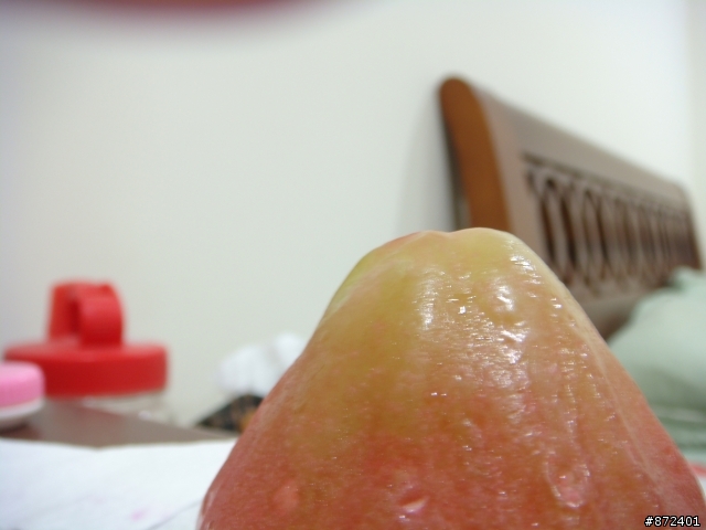 想踏入單眼的世界