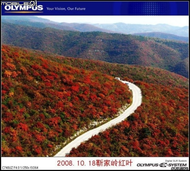 大家好，我是新来的！