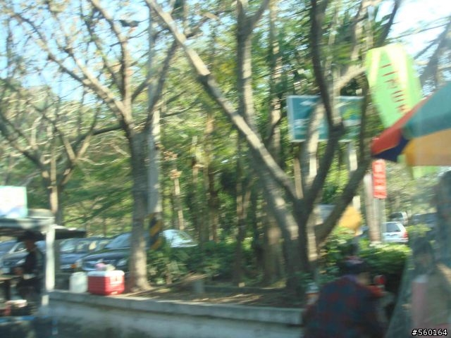 逍遙遊的1.) 挑戰路線探勘(照片多)--(第八屆)『2008八卦山脈 美利達盃&單車嘉年華』