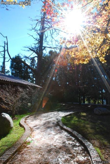11/28福壽山賞楓之旅