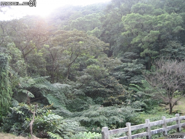勇闖汐止最強地獄坡,風櫃嘴烘爐地.和這個不能比...汐平路--小坑路--鵠鵠崙路---四分尾山640M---勤進路--天道院--天秀宮--汐止市