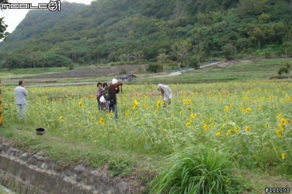 20081121~23台東玉里單車旅