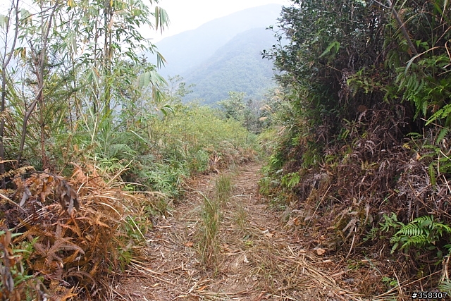 蜈蚣崙山
