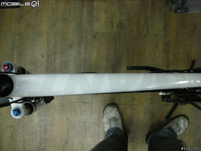 GIANT   ANTHEM ADVANCED
