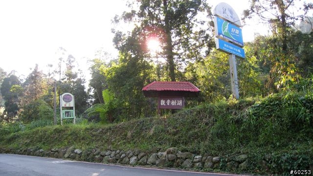 南投縣 鹿谷小半天→山豬湖產業道路→大崙山→羊彎→溪頭→鹿谷小半天