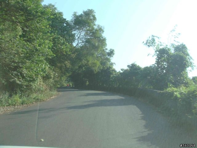 逍遙遊的1.) 挑戰路線探勘(照片多)--(第八屆)『2008八卦山脈 美利達盃&單車嘉年華』