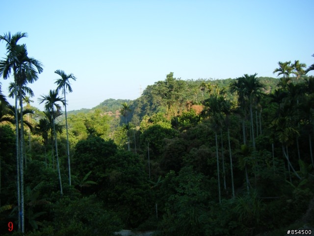霧峰鄉山林縱騎-桐林-南坑-峰谷-九九峰-象鼻坑