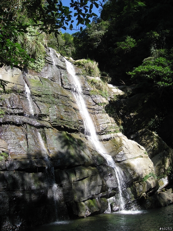 南投縣 鹿谷小半天→山豬湖產業道路→大崙山→羊彎→溪頭→鹿谷小半天