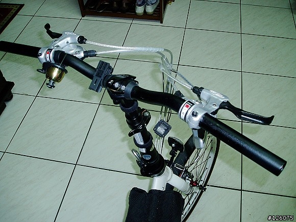 DAHON SP18 心中惡魔四起之CT盤、手把改裝篇