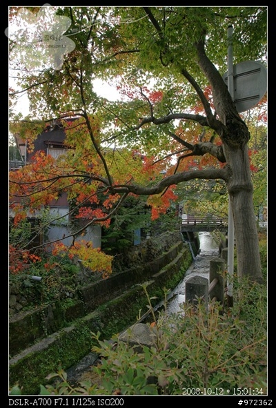 [日本中部3天2夜自由行] 岐阜縣高山--飛騨天満宮(ひだてんまんぐう)、桜山八幡宮(さくらやまはちまんぐう)