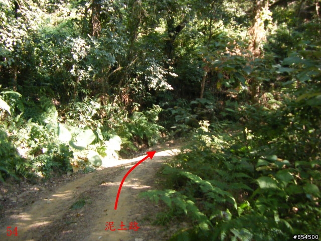 霧峰鄉山林縱騎-桐林-南坑-峰谷-九九峰-象鼻坑
