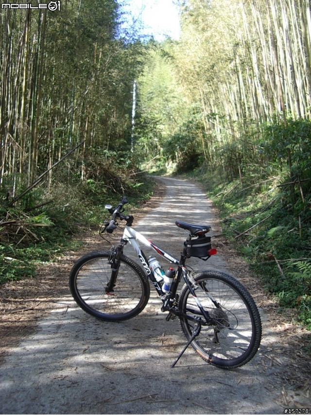 我在五指山頂看新竹