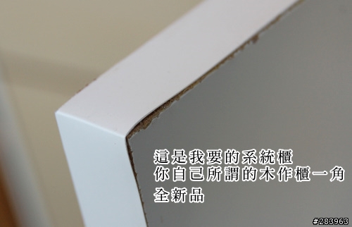 歹年冬~搞笑狼!碰到一個差勁的設計師,騙我的錢浪費我的精神與時間(抱怨文長,想看再來吧)12/13更新