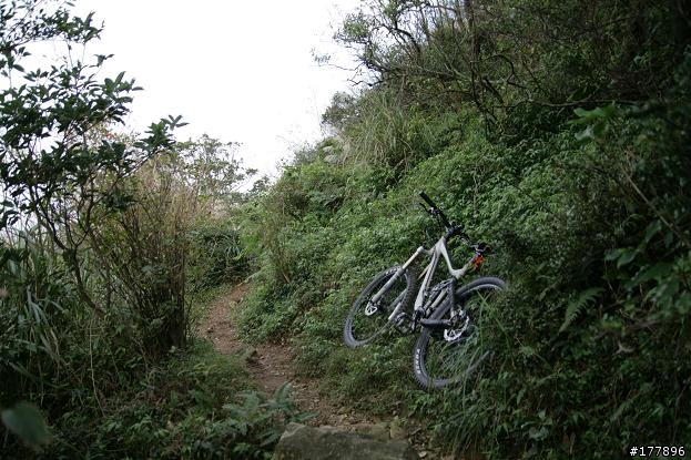 瑞泉古道&林市古道&富士坪